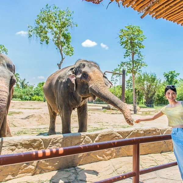 Thuê xe ô tô 7 chỗ Đà Nẵng – Vinwonder Nam Hội An